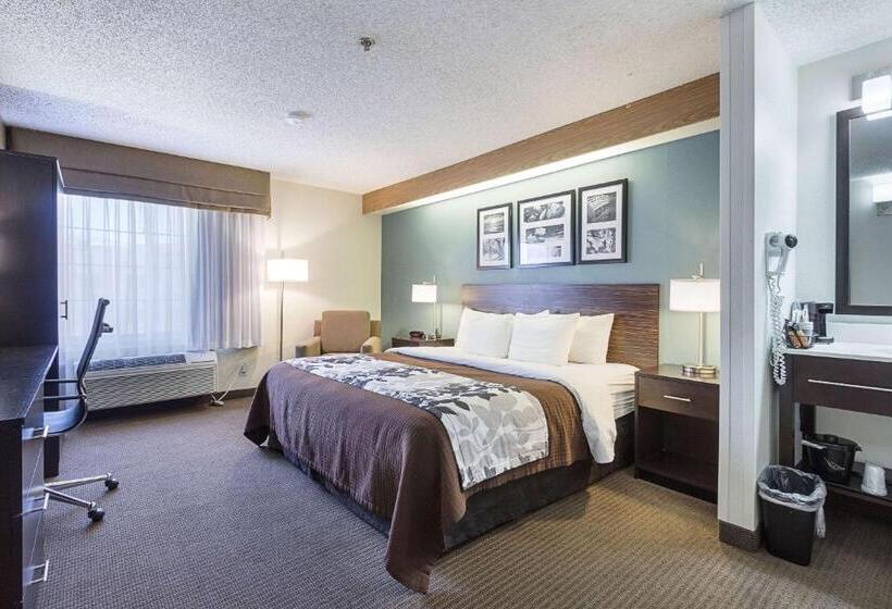 חדר סטנדרט עם מיטת קינג, La Vista Inn