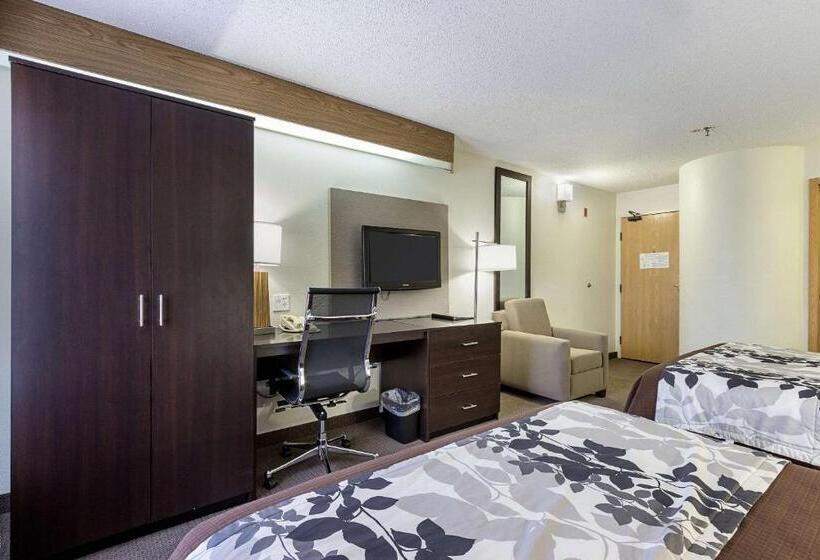 חדר סטנדרט, La Vista Inn