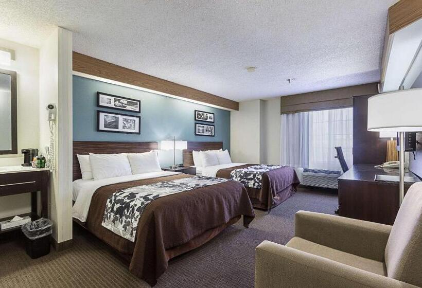 חדר סטנדרט, La Vista Inn