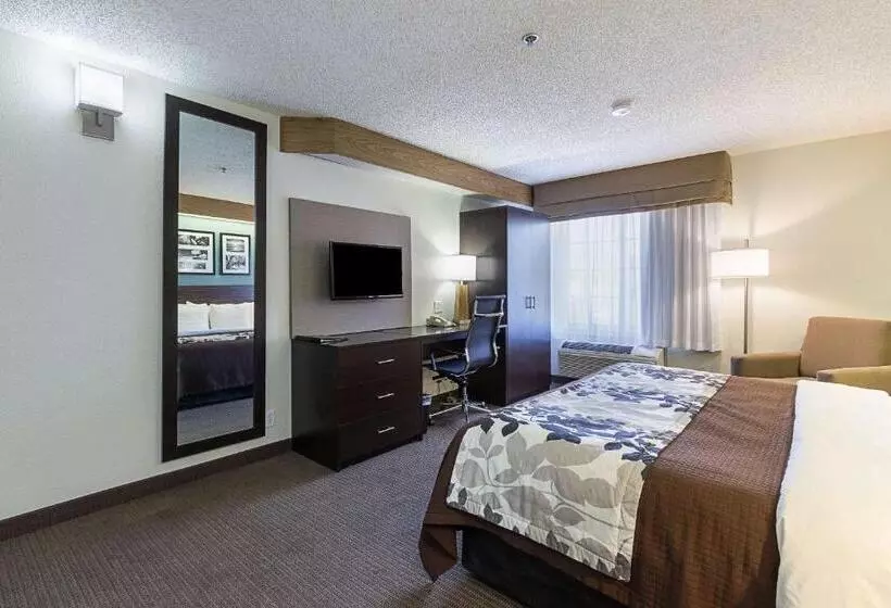 身障者適用キングサイズベッドルーム, La Vista Inn