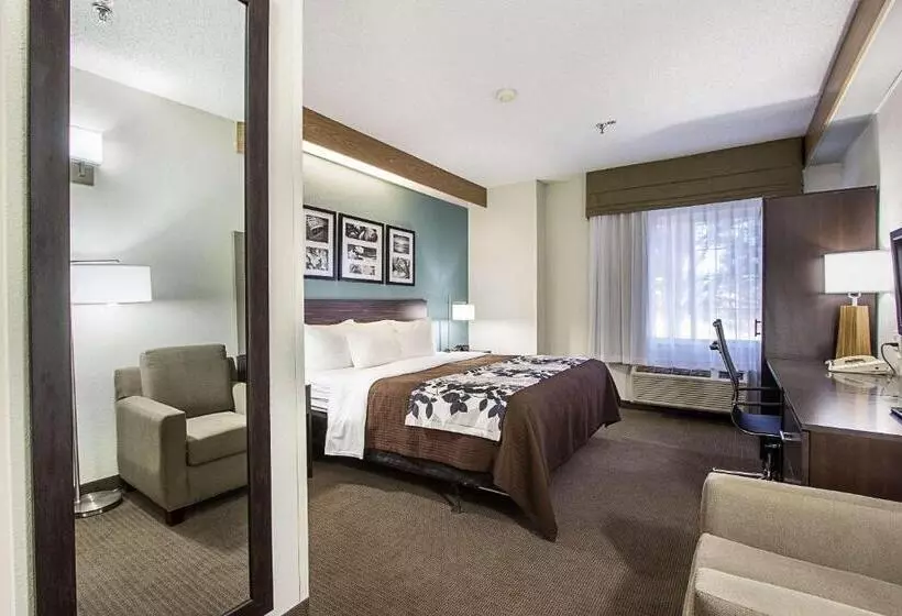 身障者適用キングサイズベッドルーム, La Vista Inn