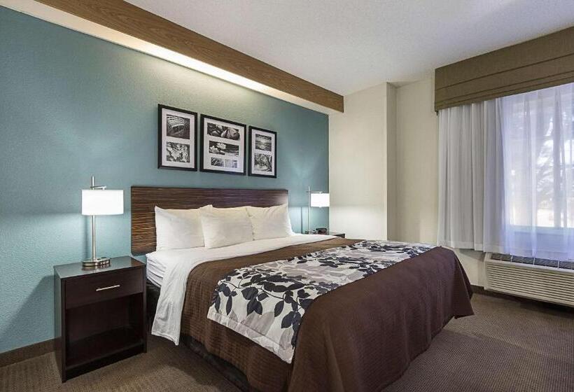 חדר סטנדרט, מיטת קינג, מותאם לאדם עם מוגבלויות, La Vista Inn