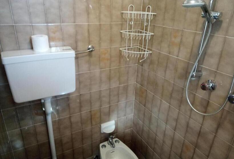 اتاق اکونومی یک تخته, Alga