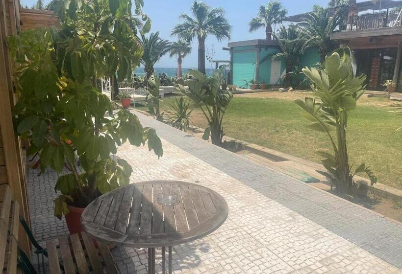 חדר סטנדרט נוף לגינה, Habitaciones Sajorami Beach