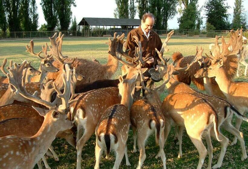 套房, Casa Los Ciervos