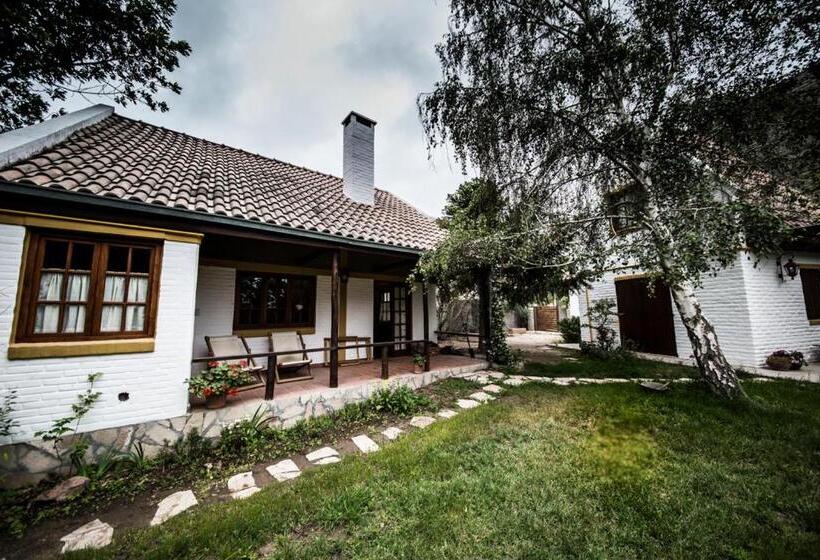 خانه 1 خوابه, Shai Shai Hue