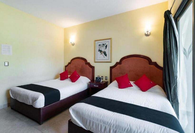 Номер Стандарт, Capital O Hotel Vitale