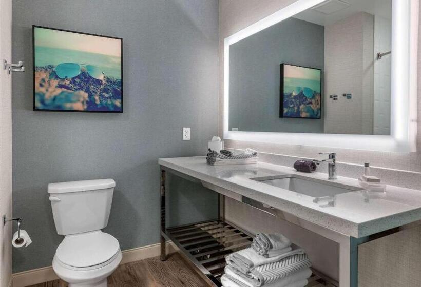 身障者適用スタンダードルーム, Cambria Hotel St Petersburg Madeira Beach Marina