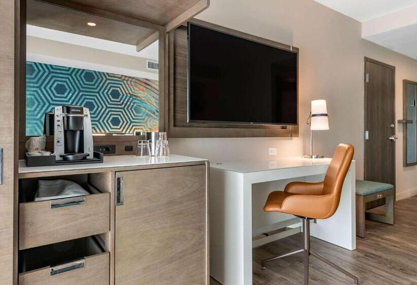 身障者適用スタンダードルーム, Cambria Hotel St Petersburg Madeira Beach Marina