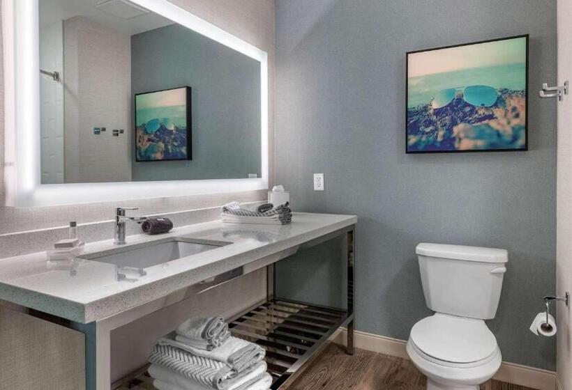 身障者適用スイートルーム, Cambria Hotel St Petersburg Madeira Beach Marina