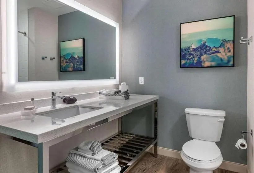 身障者適用スイートルーム, Cambria Hotel St Petersburg Madeira Beach Marina
