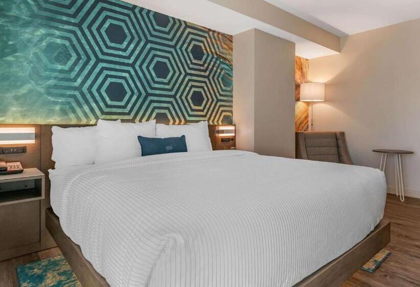 身障者適用キングサイズベッドルーム, Cambria Hotel St Petersburg Madeira Beach Marina
