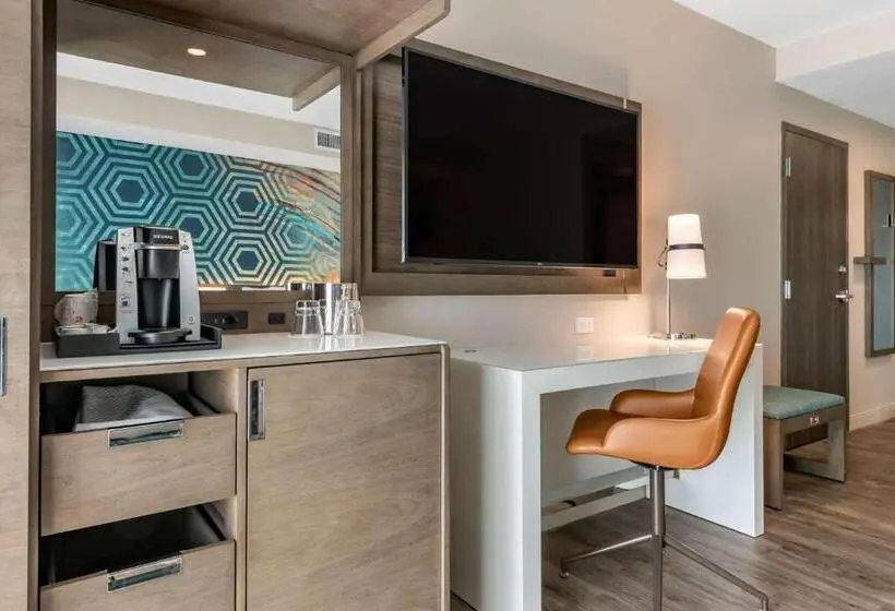 身障者適用キングサイズベッドルーム, Cambria Hotel St Petersburg Madeira Beach Marina