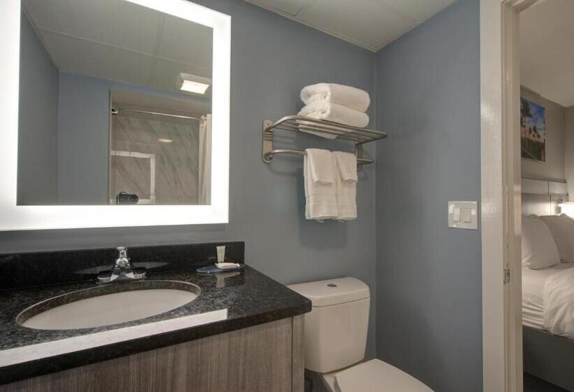 חדר סטנדרט עם מיטת קינג, Clarion Pointe Tampa Brandon Near Fairgrounds And Casino