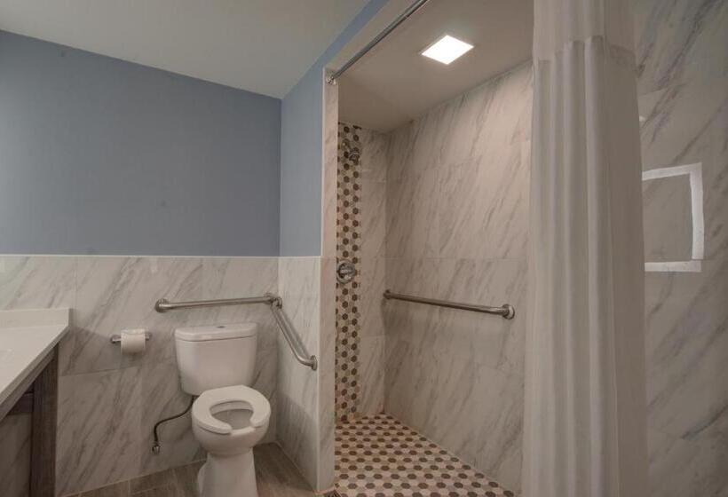 חדר סטנדרט, מיטת קינג, מותאם לאדם עם מוגבלויות, Clarion Pointe Tampa Brandon Near Fairgrounds And Casino