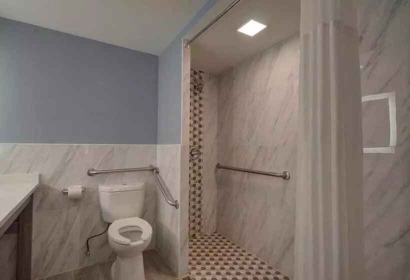 身障者適用キングサイズベッドルーム, Clarion Pointe Tampa Brandon Near Fairgrounds And Casino