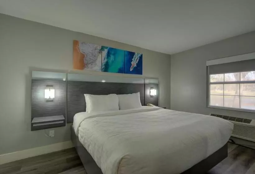 身障者適用キングサイズベッドルーム, Clarion Pointe Tampa Brandon Near Fairgrounds And Casino