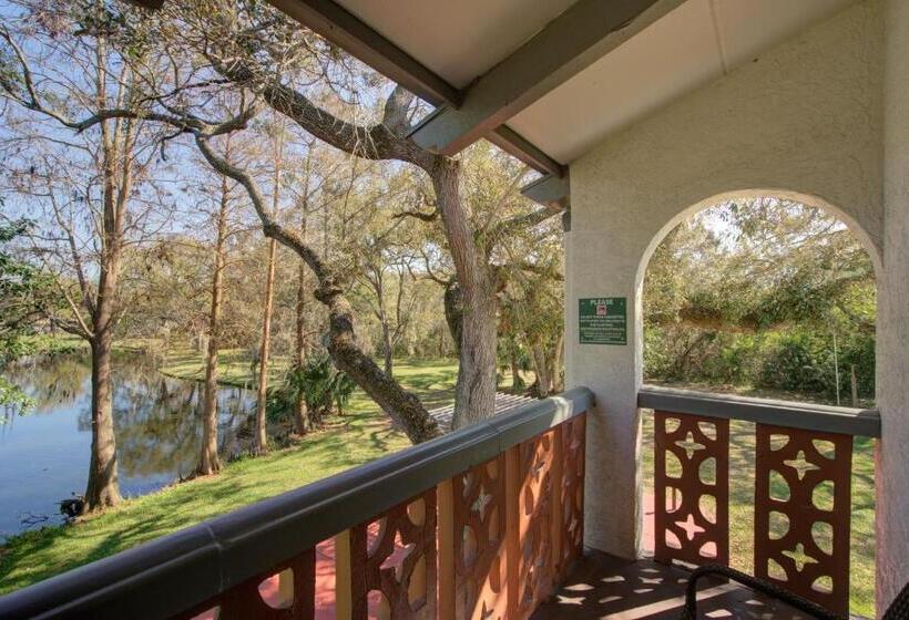 מיטת קינג בסוויטה, Clarion Pointe Tampa Brandon Near Fairgrounds And Casino