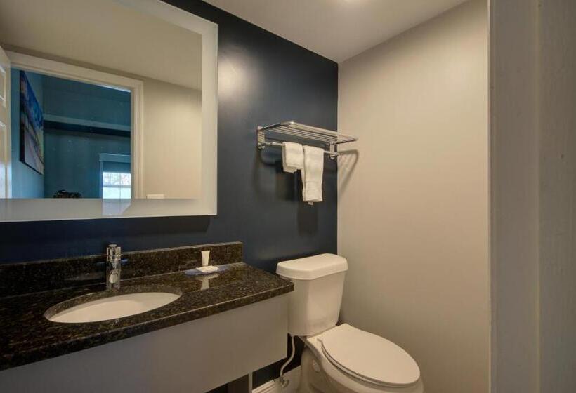 חדר סופריור עם מיטת קינג, Clarion Pointe Tampa Brandon Near Fairgrounds And Casino
