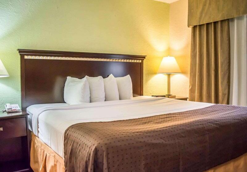חדר סטנדרט עם מיטת קינג, Clarion Pointe Tampa Brandon Near Fairgrounds And Casino