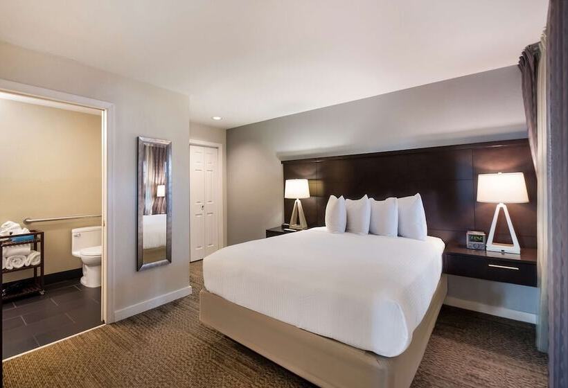 套房, Sonesta Es Suites Dulles Airport