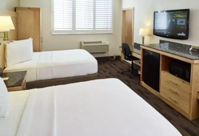 Deluxe-huone, Livinn Hotel St Paul East / Maplewood