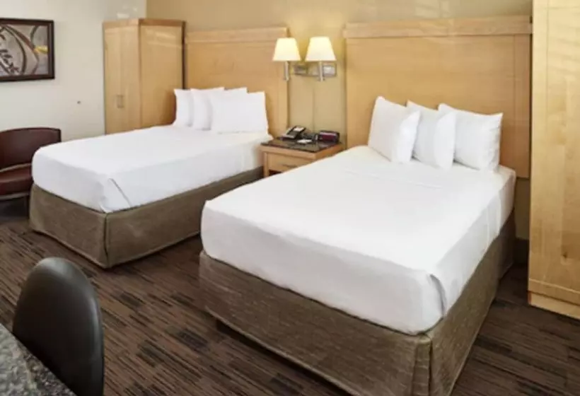Deluxe-huone, Livinn Hotel St Paul East / Maplewood