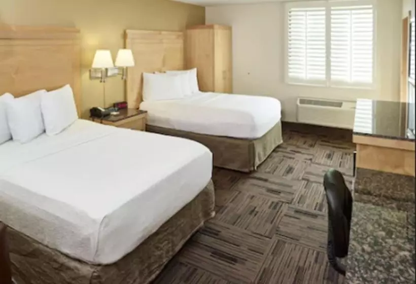 Deluxe-huone, Livinn Hotel St Paul East / Maplewood