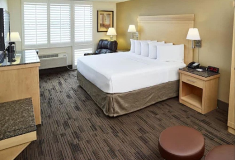 豪华房间, Livinn Hotel St Paul East / Maplewood