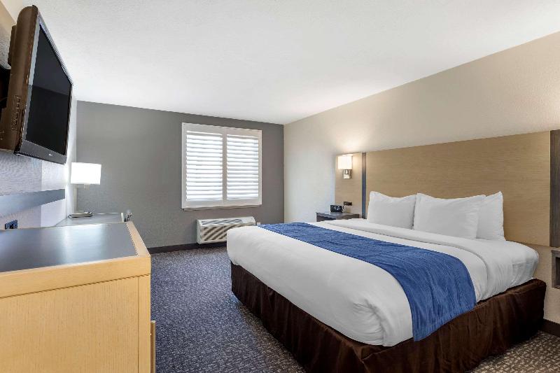 스탠다드 룸, Princeton