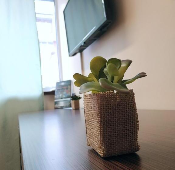 آپارتمان 1 خوابه, Richi