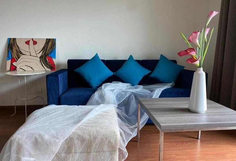 Executive Svit, Teddy@thammasart