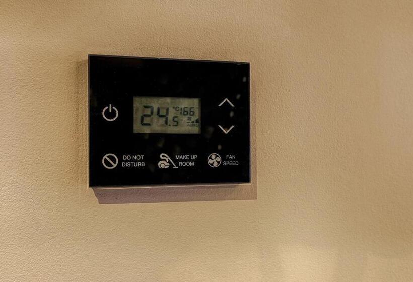 غرفة سوبيريور, Nani Nani Boutique