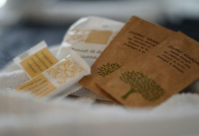 スタンダードシングルルーム, Nuovo Sole Hns