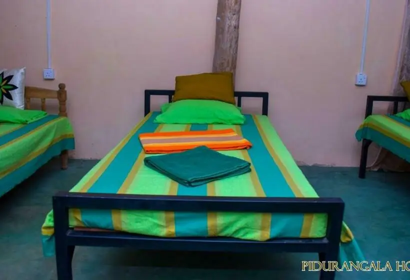 Geteiltes Mehrbettzimmer, Pidurangala Hostel