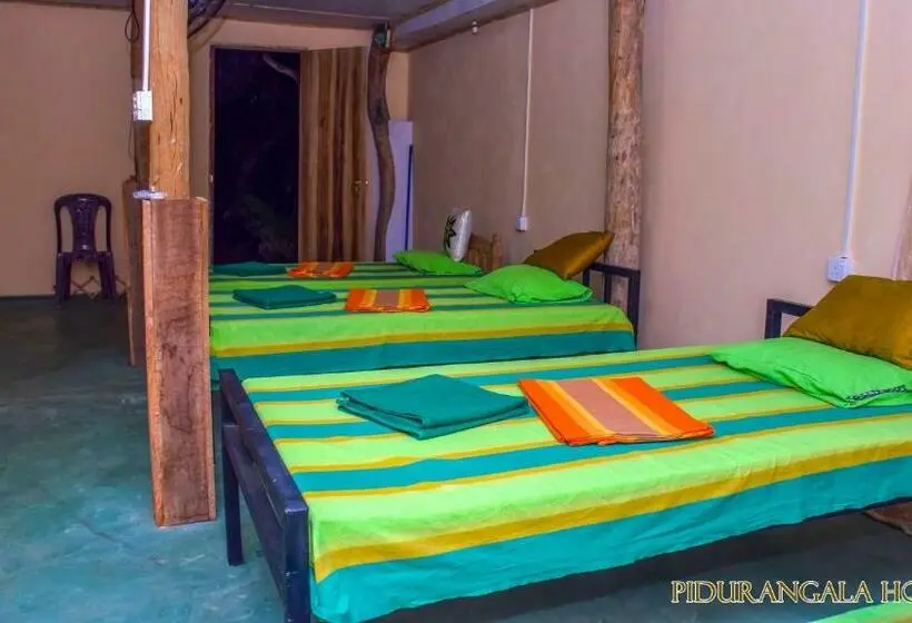 Geteiltes Mehrbettzimmer, Pidurangala Hostel