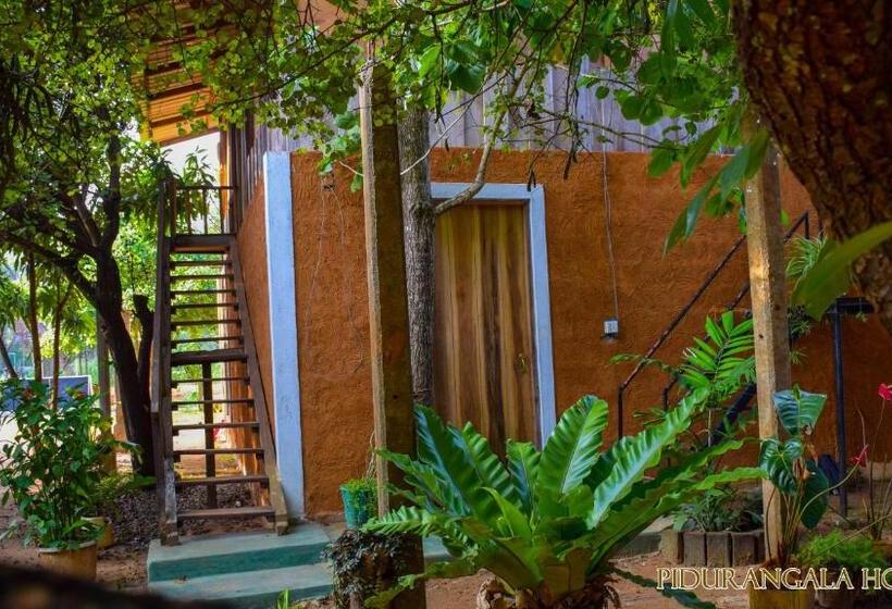 Camera Economy, Pidurangala Hostel