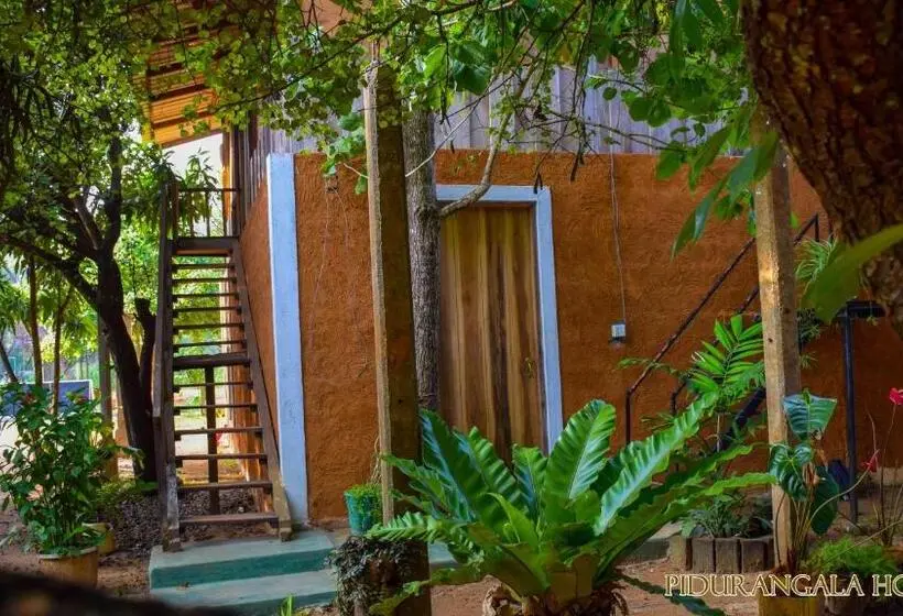 Economy Zimmer, Pidurangala Hostel