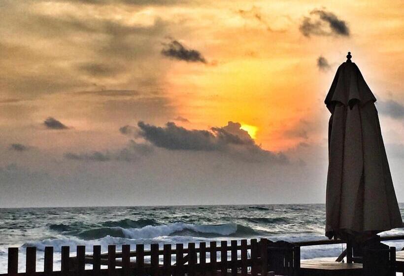 Номер Superior Нижний Этаж, Sapphire Seas Beachfront