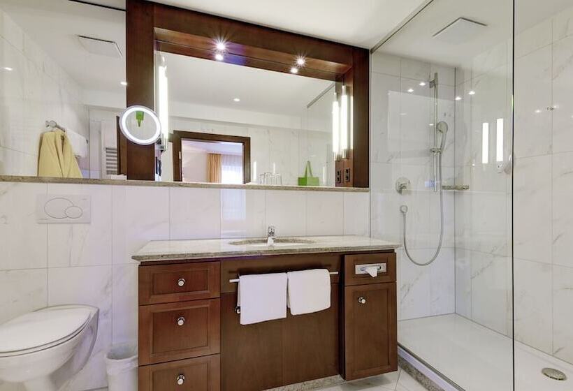 디럭스 룸, Kurhotel Zink