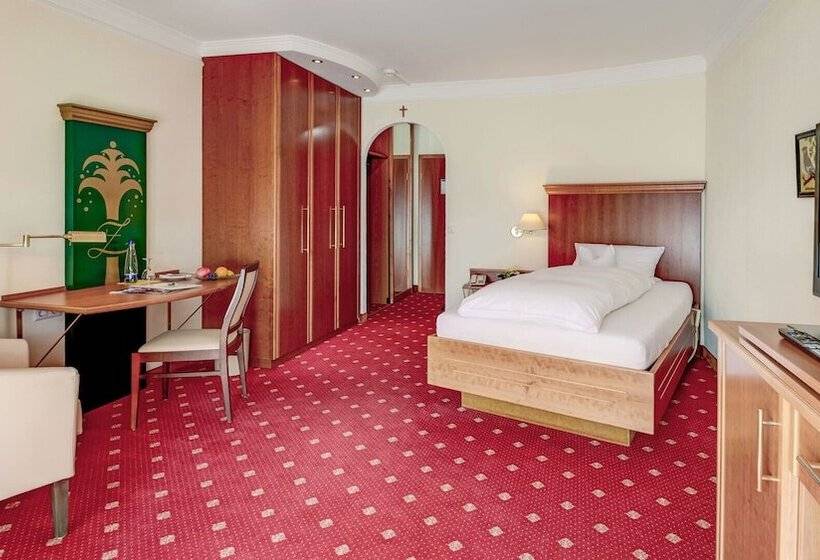 Номер Deluxe Одноместный, Kurhotel Zink