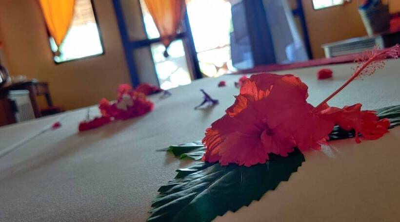 小型套房带海景, Villa Dida Resort