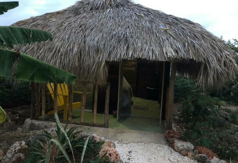 اتاق استاندارد, Guaigüí Bayahibe