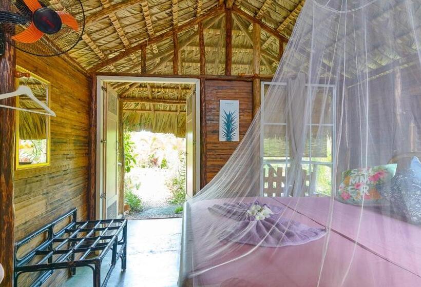 اتاق استاندارد, Guaigüí Bayahibe