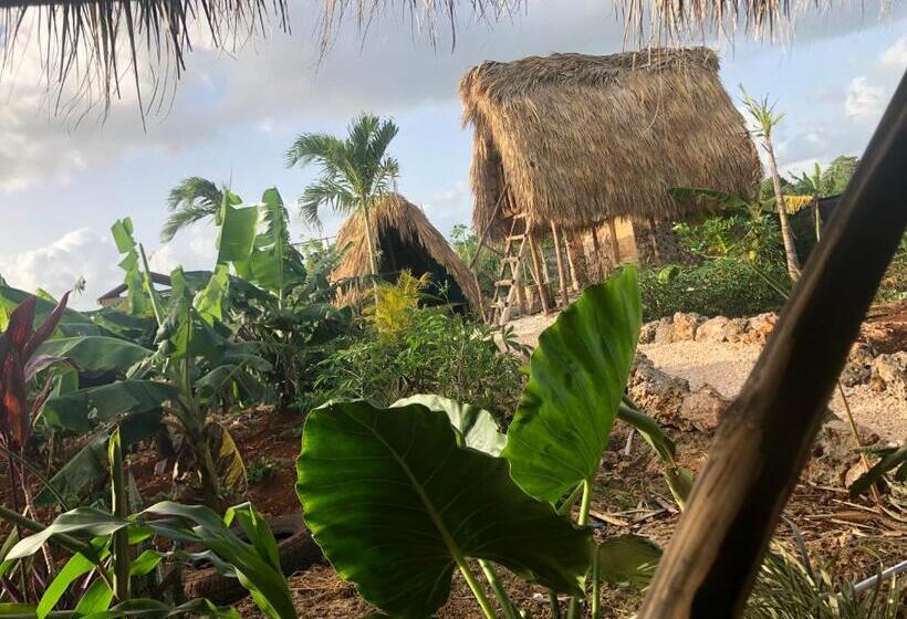 اتاق استاندارد, Guaigüí Bayahibe