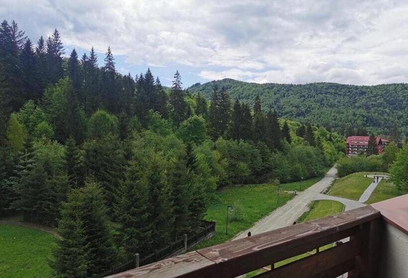 Номер Стандарт Вид на Горы, Monte Cervo Bio Hotel & Spa