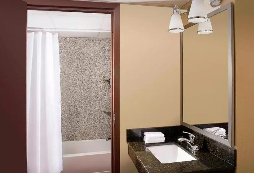 اتاق استاندارد با بالکن و چشم‌انداز دریا, Four Points By Sheraton Virginia Beach Oceanfront