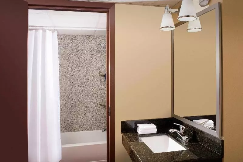 اتاق استاندارد با تخت بزرگ, Four Points By Sheraton Virginia Beach Oceanfront