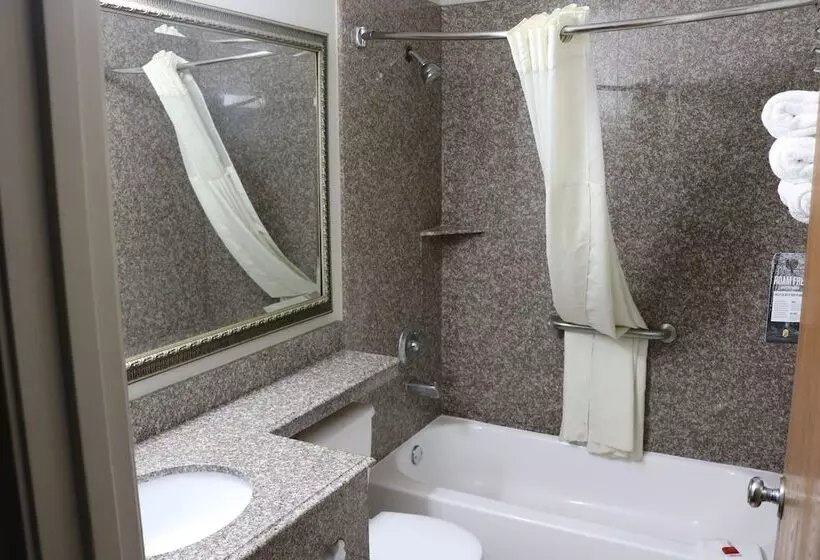 Standard-huone 2 Parivuodetta, Super 8 By Wyndham San Antonio/i35 North