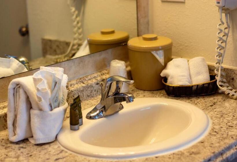 شقة غرفة واحدة, Swiss Alps Inn